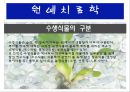 수생식물(수중식물).ppt 5페이지