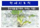 수생식물(수중식물).ppt 6페이지
