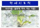 수생식물(수중식물).ppt 8페이지