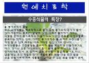 수생식물(수중식물).ppt 12페이지
