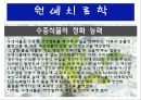 수생식물(수중식물).ppt 13페이지