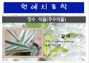 수생식물(수중식물).ppt 14페이지