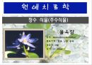 수생식물(수중식물).ppt 15페이지
