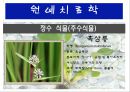 수생식물(수중식물).ppt 18페이지