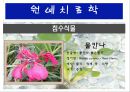 수생식물(수중식물).ppt 21페이지