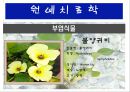 수생식물(수중식물).ppt 23페이지