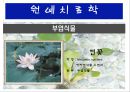 수생식물(수중식물).ppt 26페이지