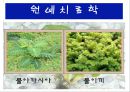 수생식물(수중식물).ppt 32페이지