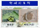 수생식물(수중식물).ppt 34페이지
