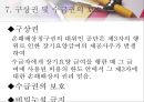 [사회과학] 사회복지법제 45페이지