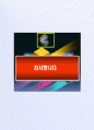경찰공무원 성공적인 합격수기 및 잘 활용되는 자기소개서 6페이지