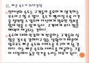 [구글 크롬] 크롬(웹브라우저) 성공요인분석 PPT자료 14페이지