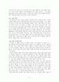 성 차별의 확대-아내 폭력 3페이지