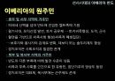 선사시대의 이베리아 반도 11페이지