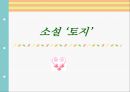 소설 ‘토지' 1페이지