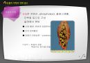 부산물의 의학과 약제 용도 9페이지