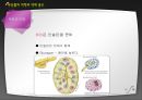 부산물의 의학과 약제 용도 11페이지