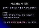메리 1세(Blood Mary)  19페이지