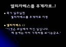 메리 1세(Blood Mary)  26페이지