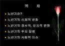 노년기 2페이지