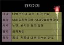 노년기 8페이지