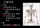 노년기 11페이지