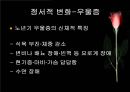 노년기 19페이지