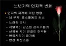 노년기 23페이지