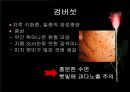 노년기 28페이지