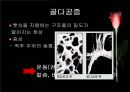 노년기 29페이지