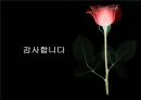 노년기 33페이지