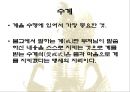 출가에서 사리까지 13페이지