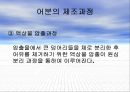Sea Food by-products 19페이지