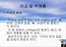 Sea Food by-products 35페이지