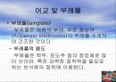 Sea Food by-products 37페이지