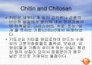 Sea Food by-products 38페이지