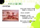 기계발골육 33페이지