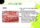 기계발골육 36페이지