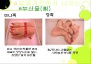 기계발골육 38페이지