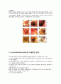소화기계 내시경 - 내시경검사(endoscopy) 4페이지