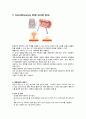 소화기계 내시경 - 내시경검사(endoscopy) 6페이지