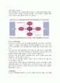 포스코(POSCO)의 인사제도,채용정보,복리후생,연봉자료 정리 7페이지
