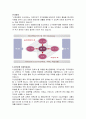 신한은행의 인사제도,채용정보,복리후생,연봉자료 정리 7페이지