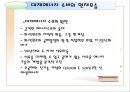 대체에너지 소비의 증가  10페이지