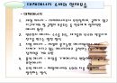 대체에너지 소비의 증가  11페이지