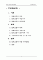 동북공정에 대한 조사 리포트 2페이지
