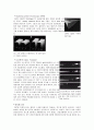 탄소나노소자의 특성과 응용 - CNT의 종류, CNT의 원자구조 및 특징, CNT의 합성, CNT의 응용, 풀러렌의 성질과 응용, 풀러렌유도체의 합성, 그래핀  6페이지