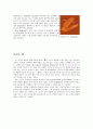 탄소나노소자의 특성과 응용 - CNT의 종류, CNT의 원자구조 및 특징, CNT의 합성, CNT의 응용, 풀러렌의 성질과 응용, 풀러렌유도체의 합성, 그래핀  11페이지