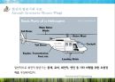 고정익 항공기와 회전익 항공기의 비교 (Comparison between Fixed-wing aircraft And rotary-wing aircraft).pptx 17페이지