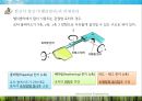 고정익 항공기와 회전익 항공기의 비교 (Comparison between Fixed-wing aircraft And rotary-wing aircraft).pptx 34페이지